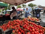 バンガロー・ファーマーズ・マーケット