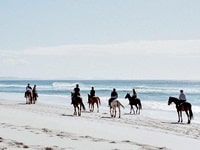 バイロンベイホーストレッキング