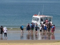 ミッションビーチダンク島ウォータータクシー