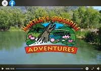 ハートリーズ・クロコダイル・アドベンチャーズ