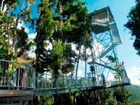 マムー・トロピカル・スカイウォークMamu Tropical Skywalk