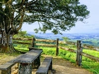 ミラミラ・ルックアウト