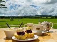 ネラダ紅茶・ティールーム