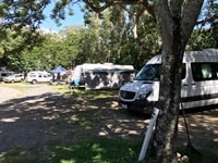 パーム・コーブ・ホリデー・パーク