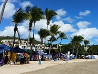 アーリービーチウィットサンデー・サタデー・マーケット