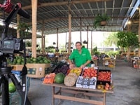 ロックハンプトンドブロズ・ファーマーズ・マーケット