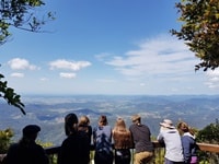 ベスト・オブ・オール・ルックアウト