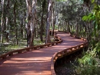 クーンババ・レイクランズ保護地域ブッシュウォーク