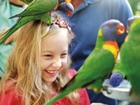 カランビン・ワイルドライフサンクチュアリ