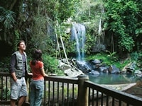 カーティス・フォールス・トラック