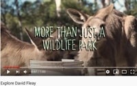 デビッド・フレイ・ワイルドライフ・パーク