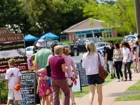 マウントタンボリン・ギャラリーウォーク