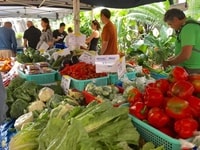 マリーナ・ミラージュ・ファーマーズマーケット