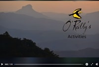 オライリーズ・レインフォレスト・リトリートPV