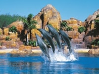 シー・ワールド・ゴールドコースト