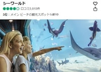 シー・ワールド・ゴールドコーストトリップアドバイザー