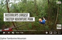 ツリー・トップ・チャレンジPV