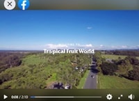 トロピカル・フルーツ・ワールドPV