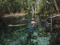 ビッタースプリングス