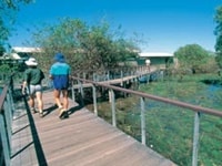 マムカラ湿原/Mamukala Wetland