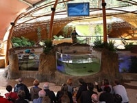 ヒールズビルサンクチュアリー