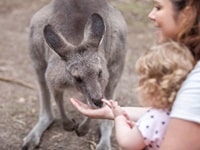 ムーンリット・サンクチュアリー・ワイルドライフ・パーク