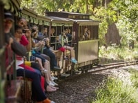 パフィングビリー蒸気機関車