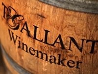 ティーギャラント・ワインメーカー