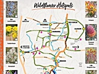 チッタリングBindoon周辺ワイルドフラワースポットマップPDF