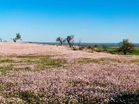コールシーム自然保護区