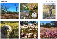 コールシーム自然保護区インスタグラム