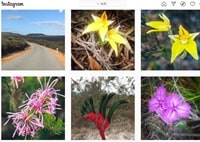 レシュール国立公園インスタグラム