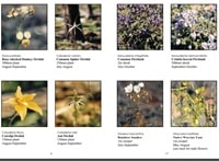 モラワワイルドフラワーハンドブックPDF