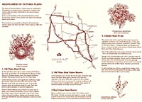 ビクトリアプレインワイルドフラワードライブマップPDF