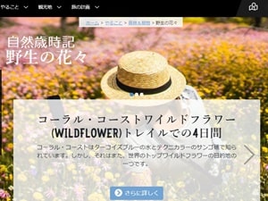 西オーストラリア観光局ワイルドフラワーガイド