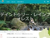 デイントゥリー・レインフォレスト
