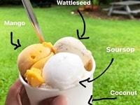 デインツリー・アイスクリーム・カンパニー