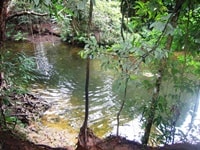 メイソンズ・ウォーターホール・ケープトリビュレーション