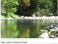 スプリング・クリーク・ポートダグラス