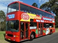 ブルーマウンテンズエクスプローラーバス