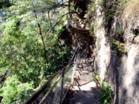 ファーバーステップス