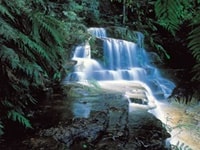 ルーラ・カスケード