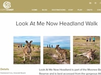 ルック・アット・ミー・ナウ・ヘッドランド・ウォーク