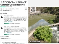 ロンセストンカタラクト渓谷口コミ