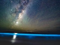 シー・スパークル/夜光虫撮影スポット・Clifton Beach