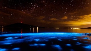 ホバートの青白い光のビーチ