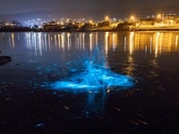 シー・スパークル/夜光虫撮影スポット・Howrah Beach