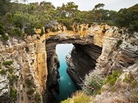 ポートアーサータスマン・アーチ