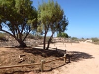 ネッズ・キャンプ・サイト