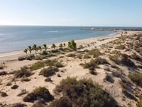 エクスマウスタウンビーチ